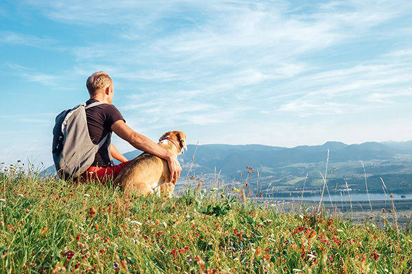 Porta in vacanza con te il tuo amico a 4 zampe